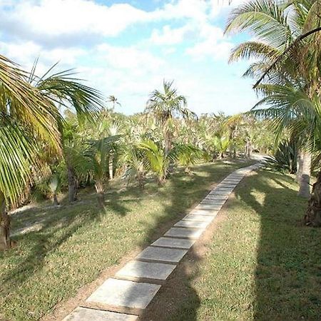 Rocks Retreat By Eleuthera Vacation Rentals North Palmetto Point Extérieur photo